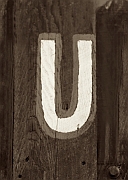 Wall_Art_Alphabet_Photography_Art_ 2267